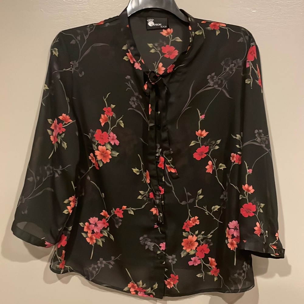 Adorable shear blouse